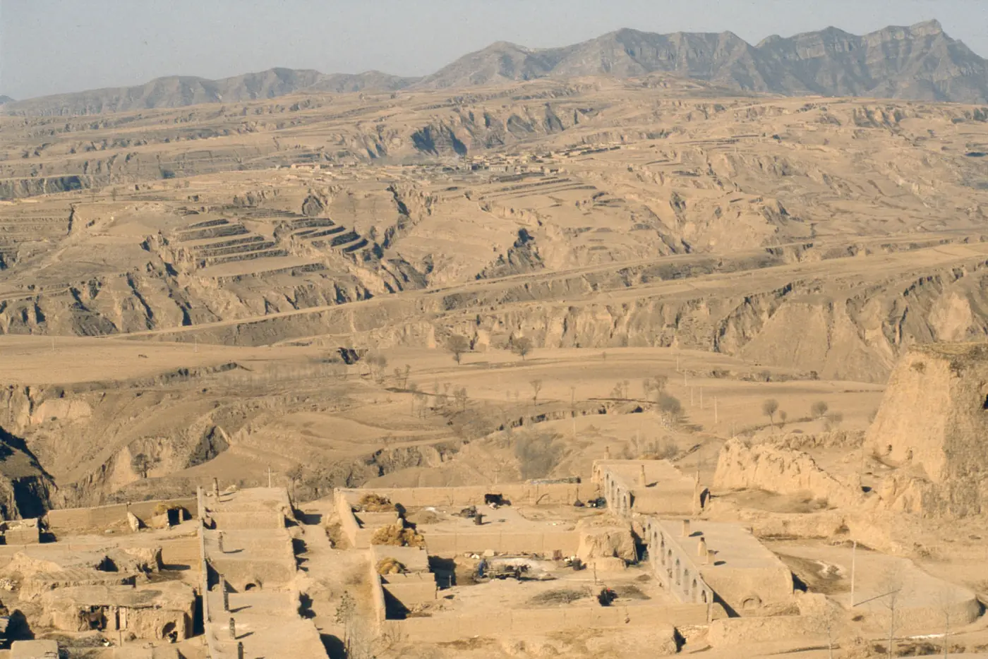 The Water Trade-Offs of Tree Planting in Drylands