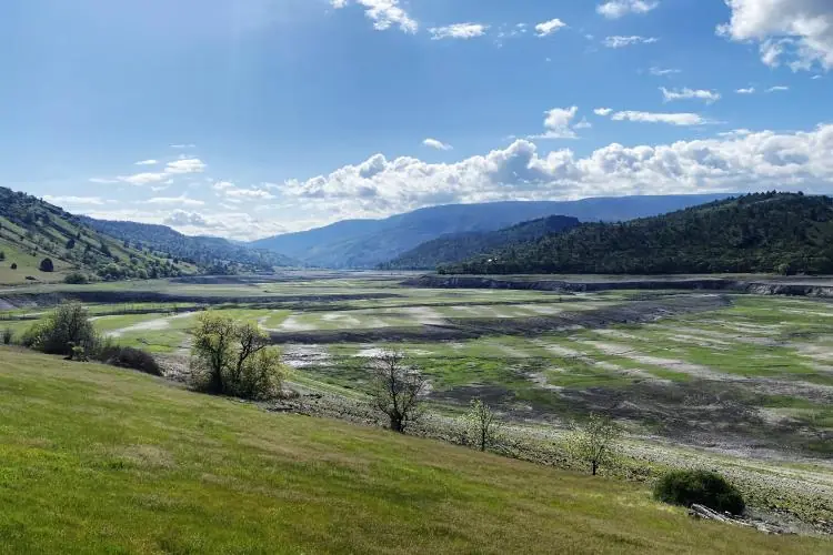 Green vegetation spreading across the exposed floor of a former Klamath reservoir, surrounded by hills.
