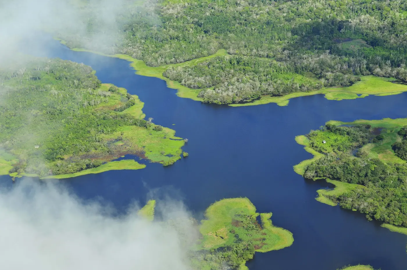 Carbon Credits and the Challenge of Proving Real Emissions Cuts